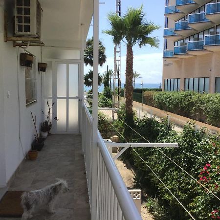 Carpe Diem El Albir Exterior foto