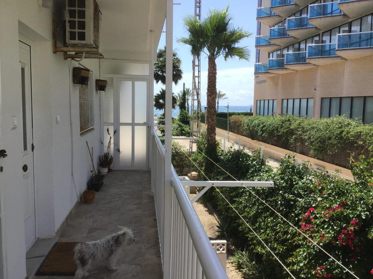 Carpe Diem El Albir Exterior foto